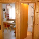 Haus Gradwohl Apartment Schladming